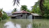 ভাঙ্গা বেড়িবাঁধ দিয়ে পানি প্রবেশ করে প্ল...